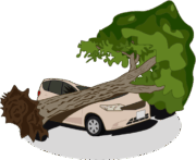 倒木でつぶれた乗用車のイラスト