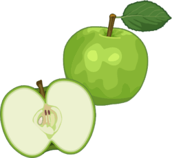 夏に出る青りんごのイラスト