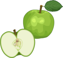 青りんご 夏に出る青りんごのイラスト