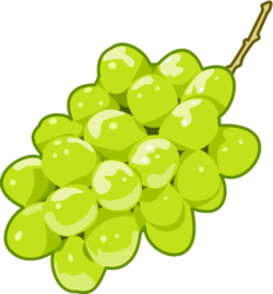 シャインマスカット 皮ごと食べられるシャインマスカットのイラスト