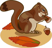 ドングリを食べているリスのイラスト