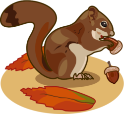 リス ドングリを食べているリスのイラスト