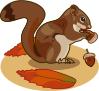 リス ドングリを食べているリスのイラスト
