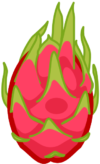 ドラゴンフルーツ ドラゴンフルーツのアイコン・イラスト