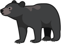 クマ 大きな黒いクマのイラスト。