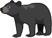 クマ 大きな黒いクマのイラスト。