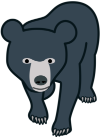 クマ 前進してくるクマのイラスト。