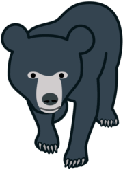 クマ 前進してくるクマのイラスト。