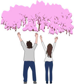 桜林満開万歳イラスト。