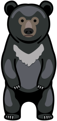 ツキノワグマ 立ち上がったツキノワグマのイラスト。