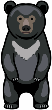 ツキノワグマ 立ち上がったツキノワグマのイラスト。