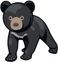 子グマ ツキノワグマの可愛い子グマのイラスト。