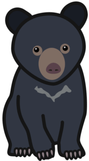子グマ ちょこんとすわったツキノワグマの子グマのイラスト。