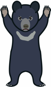 怒っているクマ 立ち上がって怒っているツキノワグマのイラスト。