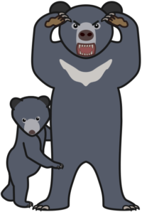 母熊 子熊を守るために威嚇する母熊のイラスト。