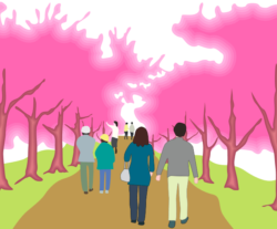 桜並木を花見散歩している人達のイラスト。