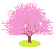 桜の木 満開の桜の木のイラスト。