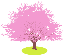 満開の桜の木のイラスト。