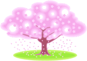 横に拡がった桜 横に拡がった桜の木のシンプルなイラスト。