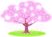 横に拡がった桜 横に拡がった桜の木のシンプルなイラスト。