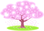 横に拡がった桜 横に拡がった桜の木のシンプルなイラスト。