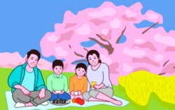 四人家族でお花見を楽しんでいるイラスト
