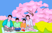 四人家族でお花見を楽しんでいるイラスト