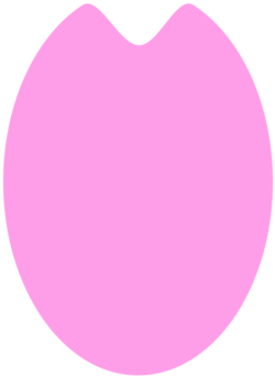 一片の花びらのシンプルなイラスト