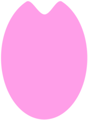 一片の花びらのシンプルなイラスト