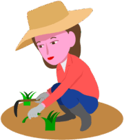 庭の草取りをしている女性のイラスト