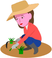 庭の草取りをしている女性のイラスト