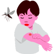 虫刺され 蚊に血を吸われた男の子のイラスト