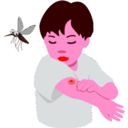 蚊に血を吸われた男の子のイラスト