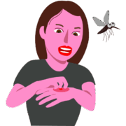 蚊に刺される 蚊に手の甲を刺された女性のイラスト