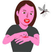 蚊に手の甲を刺された女性のイラスト