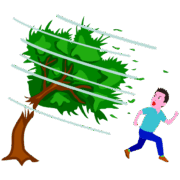 強風 強風で樹木が折れたイラスト