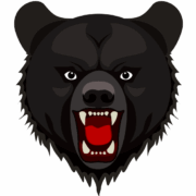 クマの威嚇 牙を剥いて威嚇しているクマの顔のイラスト