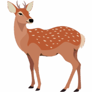 ニホンジカ 振り返って後ろを見ているニホンジカのイラスト