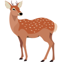 ニホンジカ 振り返って後ろを見ているニホンジカのイラスト