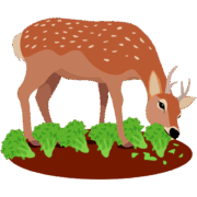 鹿の食害 畑の農作物を食べるニホンジカのイラスト