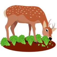 鹿の食害 畑の農作物を食べるニホンジカのイラスト