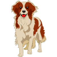 コーイケルホンディエ 愛らしいコーイケルホンディエのイラスト