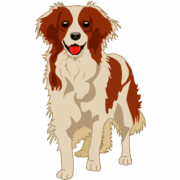 愛らしいコーイケルホンディエのイラスト