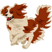 走る犬 楽しそうに走っているコーイケルホンディエのイラスト