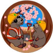 穴の中でお花見を楽しんでいる工事モグラ親子のイラスト