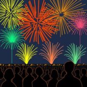 祭の花火 夜空を彩る祭りの花火のイラスト