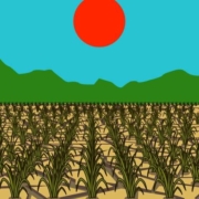 干ばつ 雨不足で干上がってしまった水田のイラスト