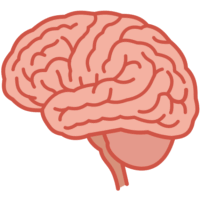 シンプルでかわいい脳のイラスト