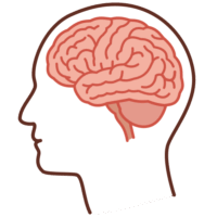 頭の中に納まっている脳のイラスト