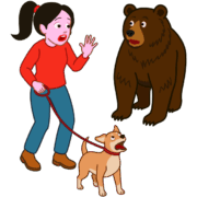 クマと遭遇 愛犬の散歩中にクマと遭遇した女性のイラスト